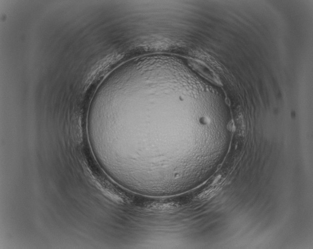 X0000068310638200605051532