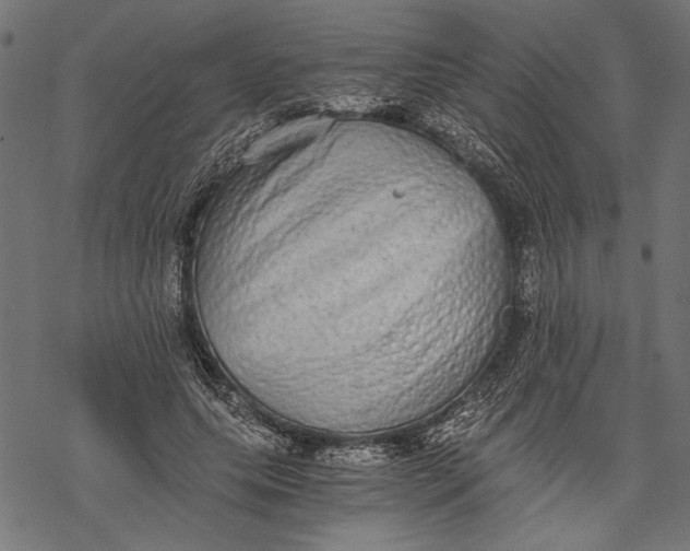 X0000068310639200605051532