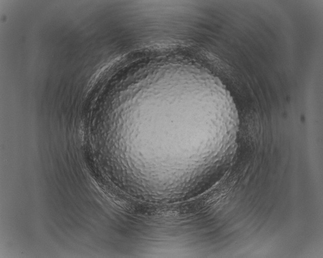 X0000068310640200605051532