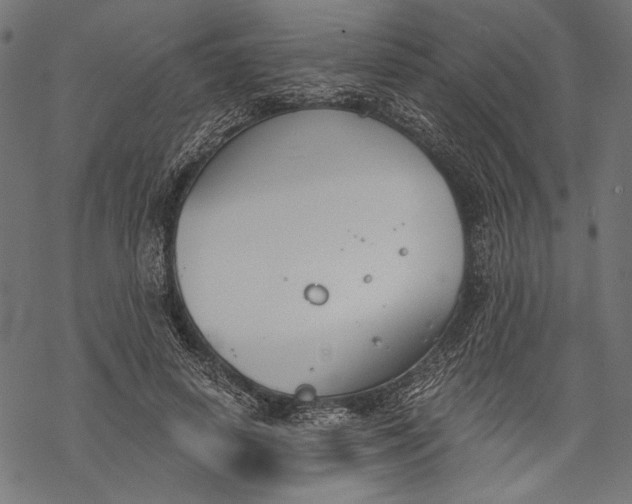 X0000068310642200605051532