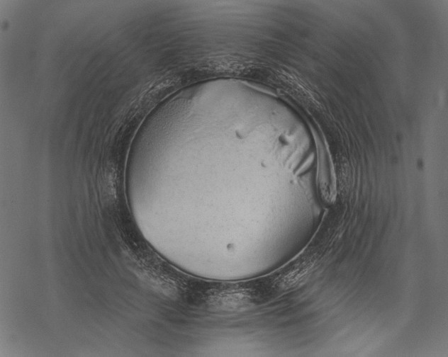 X0000068310643200605051532