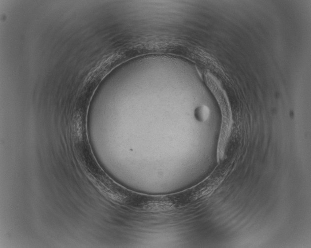 X0000068310644200605051532