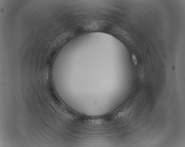 X0000068310645200605051532