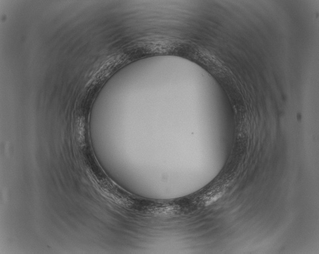 X0000068310646200605051532