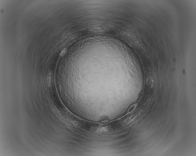 X0000068310647200605051532