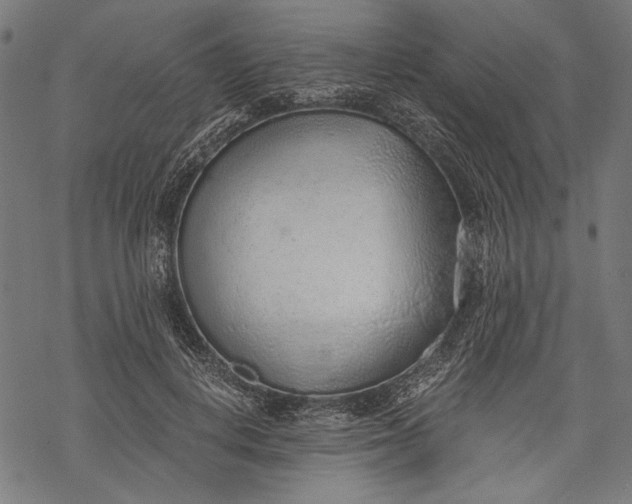 X0000068310648200605051532