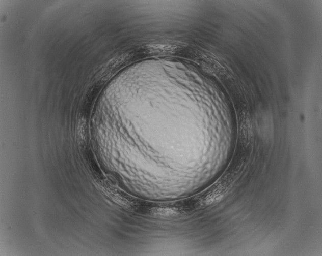 X0000068310649200605051532