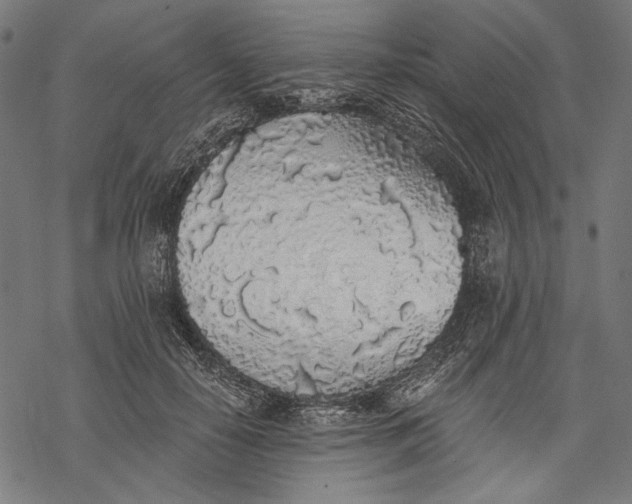 X0000068310650200605051532