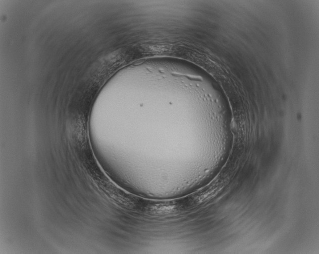 X0000068310651200605051532