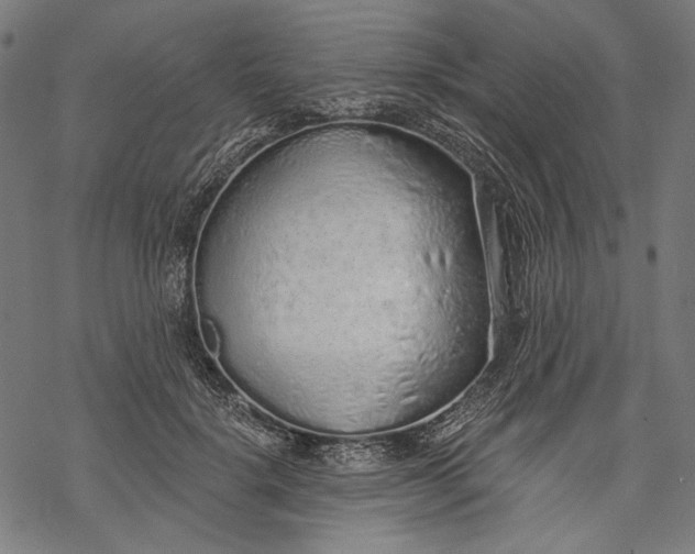 X0000068310652200605051532