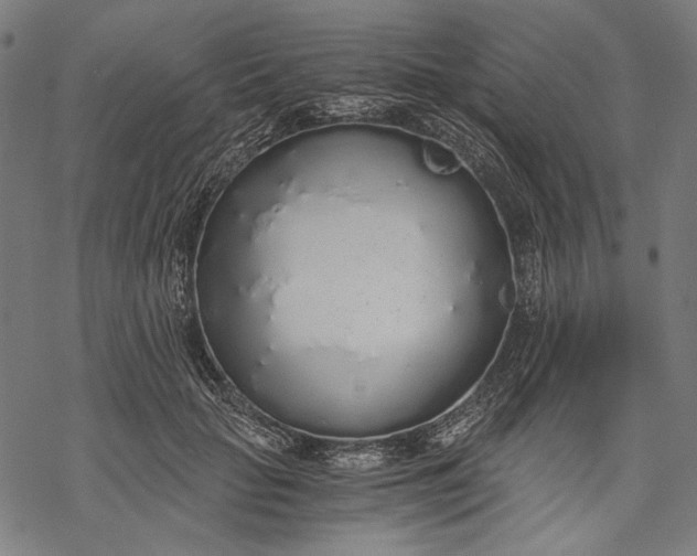 X0000068310653200605051532