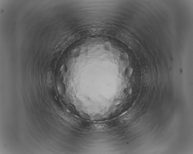 X0000068310654200605051532