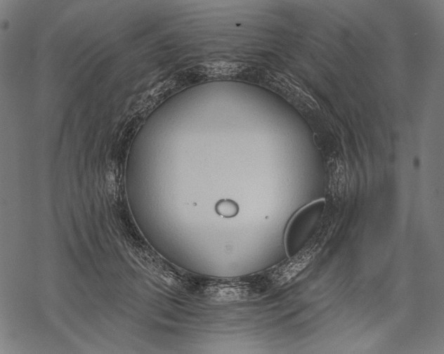 X0000068310655200605051532