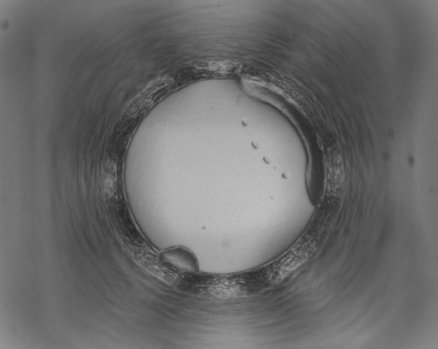 X0000068310656200605051532