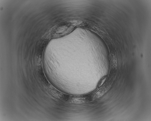 X0000068310657200605051532