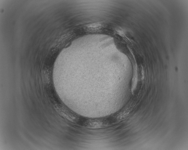 X0000068310658200605051532