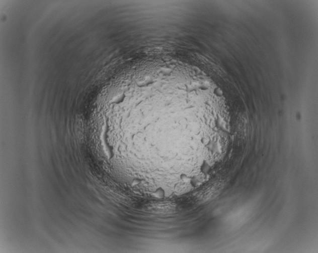 X0000068310659200605051532