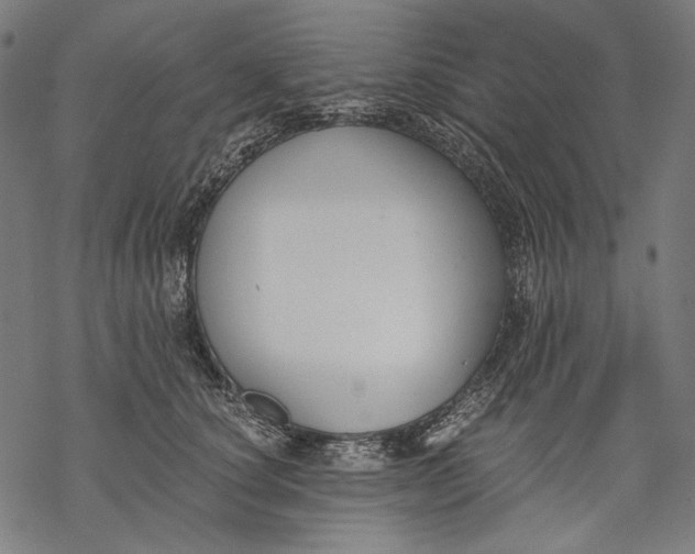 X0000068310660200605051532