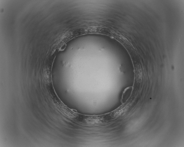 X0000068310661200605051532