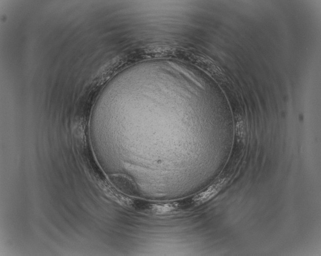 X0000068310662200605051532