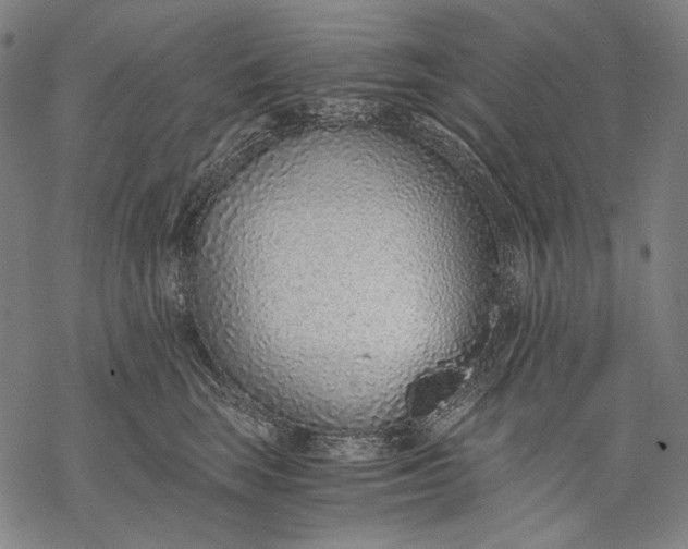 X0000068310663200605051532