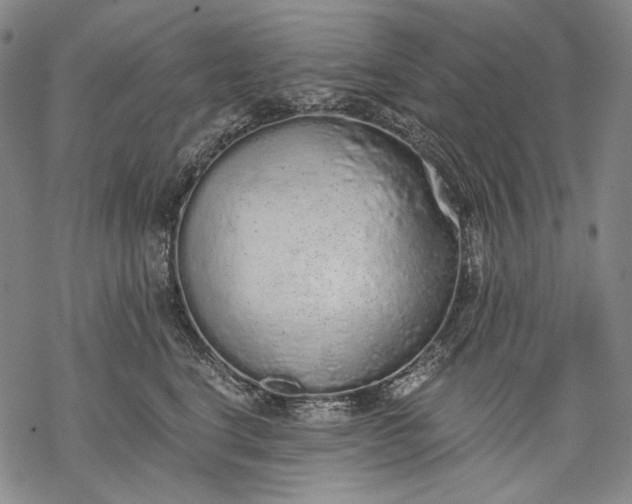 X0000068310664200605051532