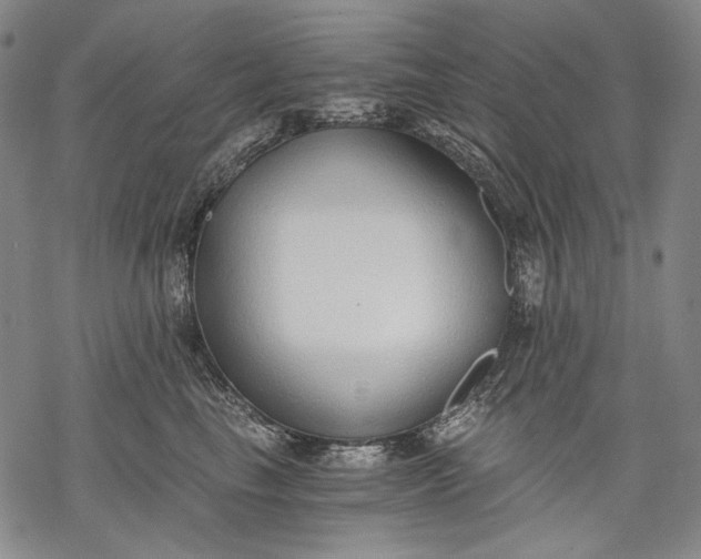 X0000068310665200605051532