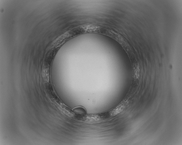 X0000068310666200605051532