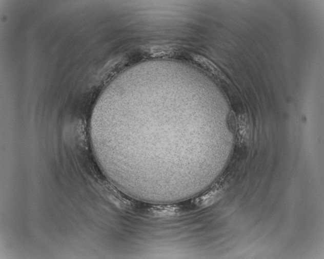 X0000068310667200605051532