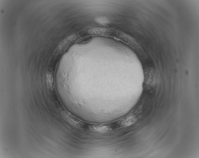 X0000068310669200605051532