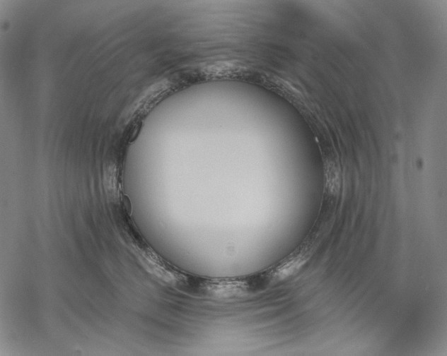 X0000068310670200605051532