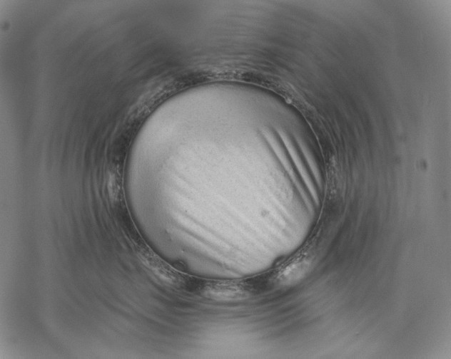 X0000068310671200605051532