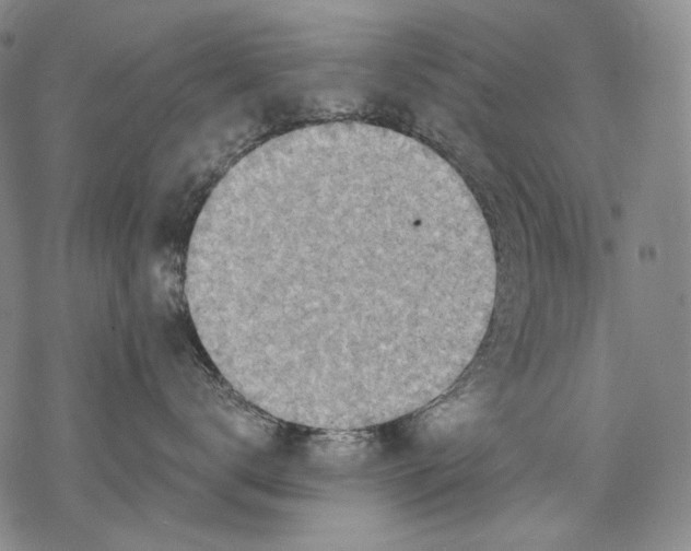 X0000068310672200605051532