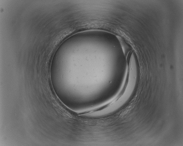 X0000068310673200605051531