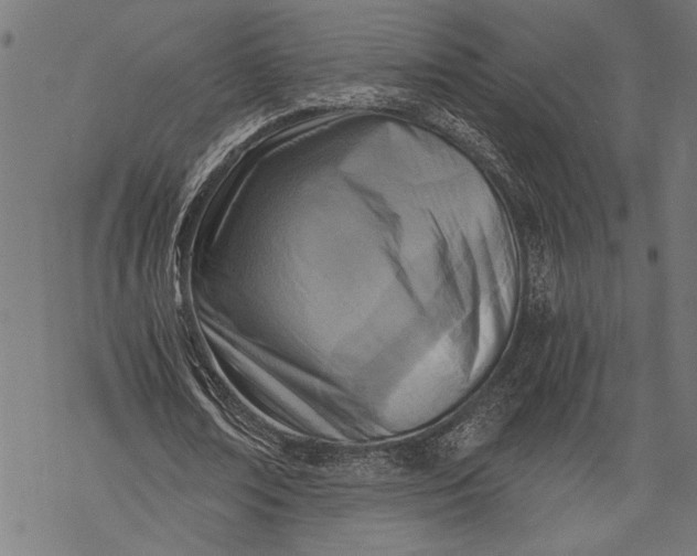 X0000068310674200605051531