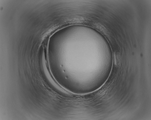 X0000068310675200605051531