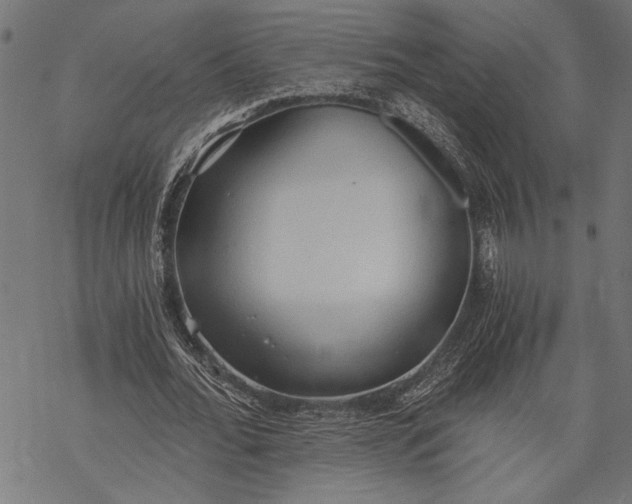 X0000068310676200605051531