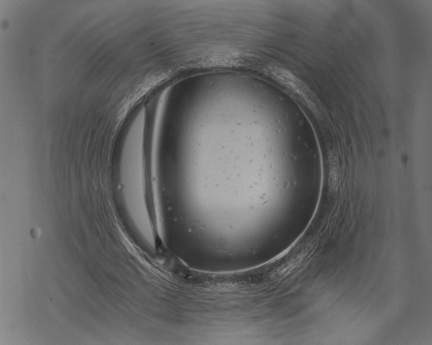 X0000068310677200605051531