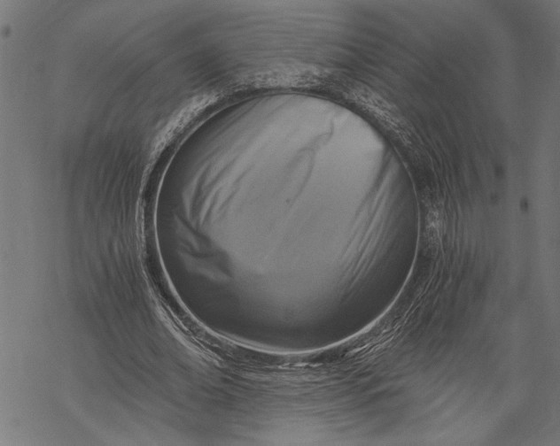 X0000068310678200605051531