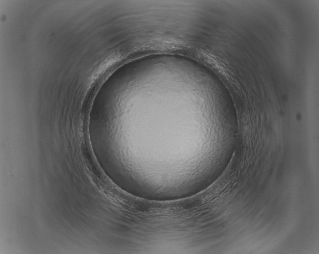 X0000068310679200605051531