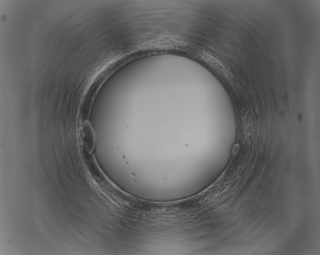 X0000068310680200605051531