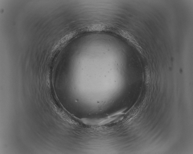 X0000068310681200605051531