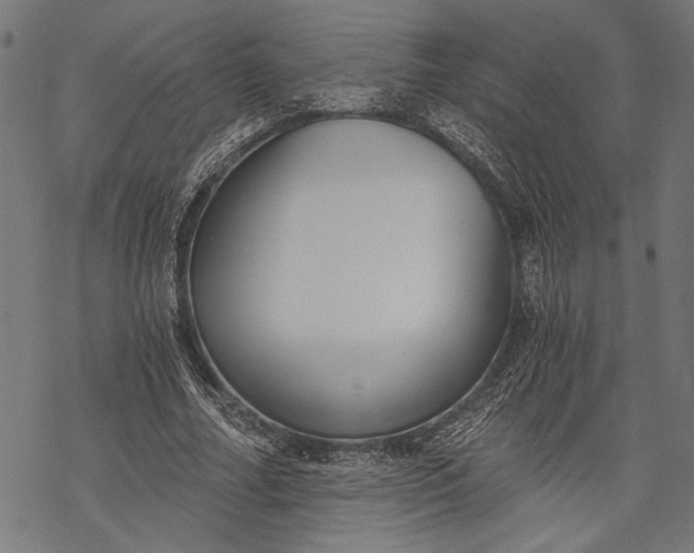 X0000068310682200605051531