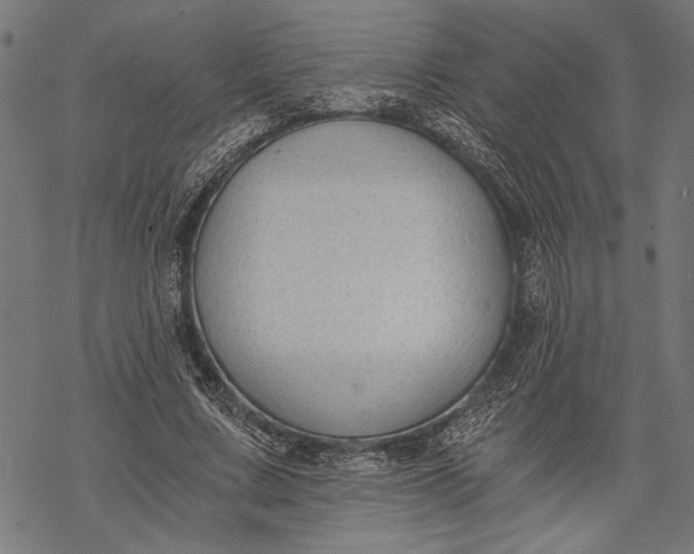 X0000068310683200605051531