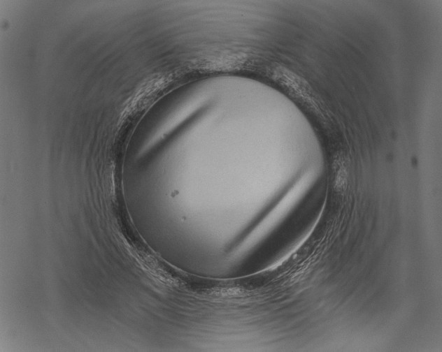 X0000068310685200605051531