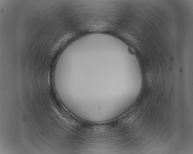 X0000068310686200605051531