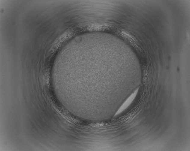 X0000068310687200605051531