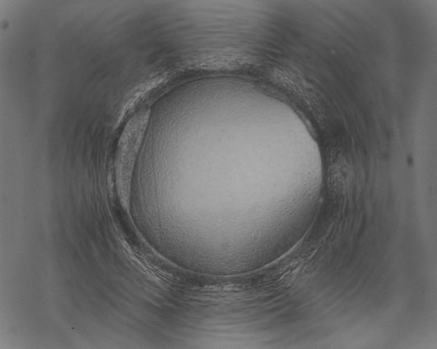 X0000068310688200605051531