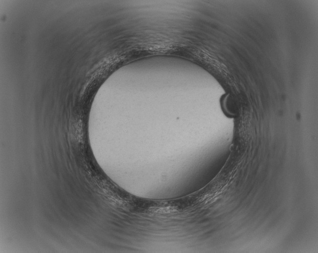 X0000068310689200605051531