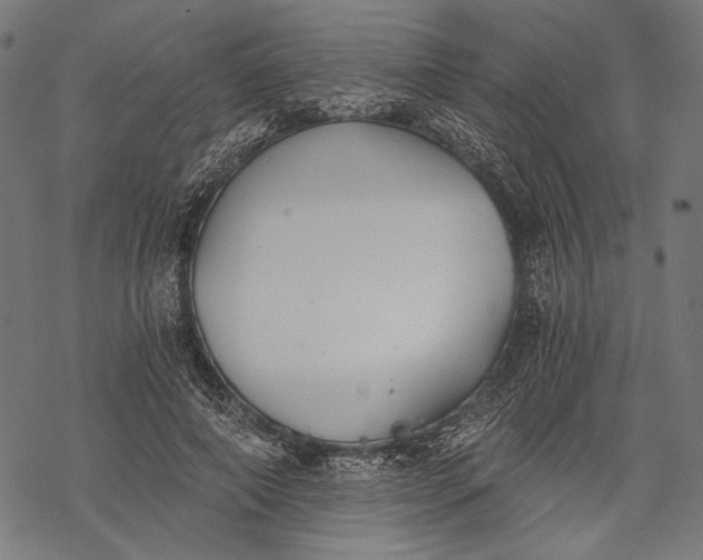 X0000068310690200605051531